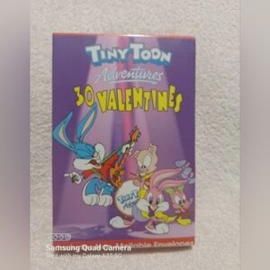 Vintage Looney tunes tiny toon 30 valentine greetings cards